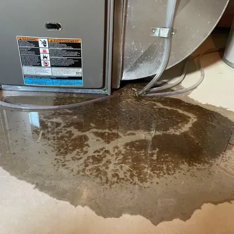 Appliance Leak Cleanup in Mercer County, KY